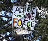 phoenix coalition banner