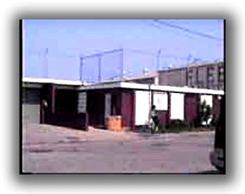 Berkeley Animal Shelter