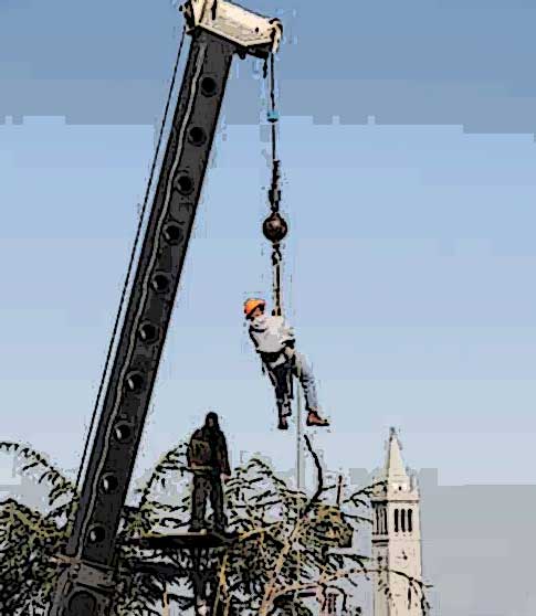 tree extraction