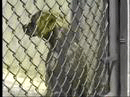 animal shelter