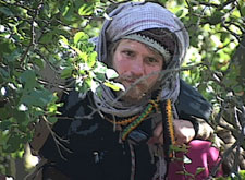 Fresh tree sitter