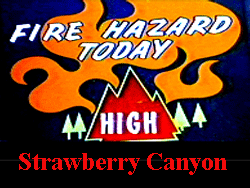 High Fire Hazard
