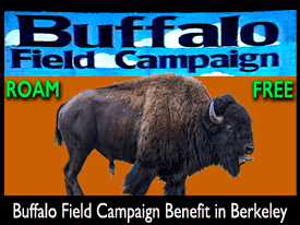 Buffalo Field Campaign Benefit in Berkeley