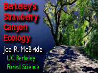 Ecology of Strawberry Canyon
