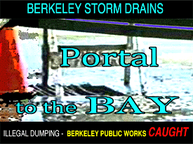Portal to the Bay: Berkeley Storm Drainage system