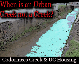 Codornices Creek & UC Berkeley Albany Housing