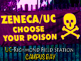 Campus Bay Toxics