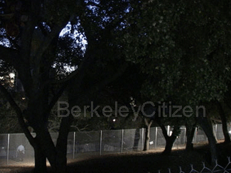 oak grove fence