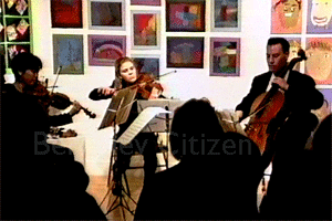 Sunset string Quartet at Live Oak Concert