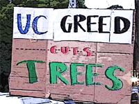 UC Greed Cuts Trees