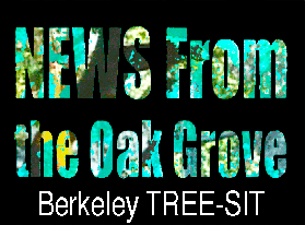 NEWS FROM THE BERKELEY OAK GROVE