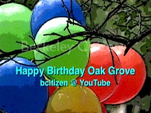 1st anniversary of Berkeley Oak Grove Tree-Sit