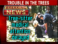 Tree-sitter medical attention delayed