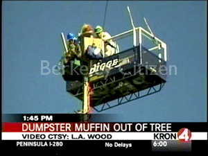 Tree-sitter medical issues Memorial Oak Grove Channel 4