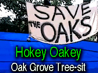 Country Joe - Hokey Oakey