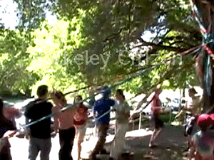Maypole in the Berkeley Memorial Oak Grove