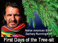 Zachar RnningWolf speaks of the first days of the tree-sit