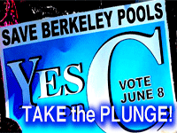 Berkeley Pools - Take the Plunge