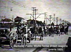 Berkeley Public Works horses