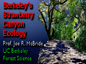 Ecology of Strawberry Canyon Berkeley