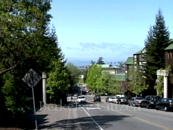 View to the bay from Foothill Housing Complex 2004