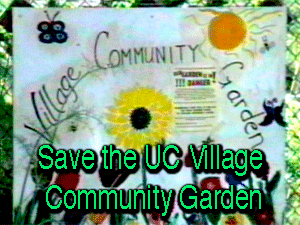 UC Berkeley Village Community Garden