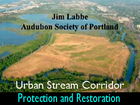 Urban Stream Corridor Protection and Restoration Jim Labbe